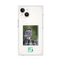 Premium Square Case［ Green Future Project - Aplomado Falcon ］