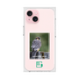 Premium Square Case［ Green Future Project - Aplomado Falcon ］