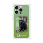 Premium Square Case［ Green Future Project - Black-mantled Tamarin ］