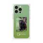 Premium Square Case［ Green Future Project - Black-mantled Tamarin ］