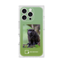 Premium Square Case［ Green Future Project - Black-mantled Tamarin ］