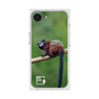 Premium Square Case［ Green Future Project - Saddle-backTamarin ］