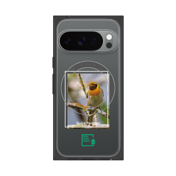 Premium Square Case with Pixelsnap［ Green Future Project - Guira Tanager ］