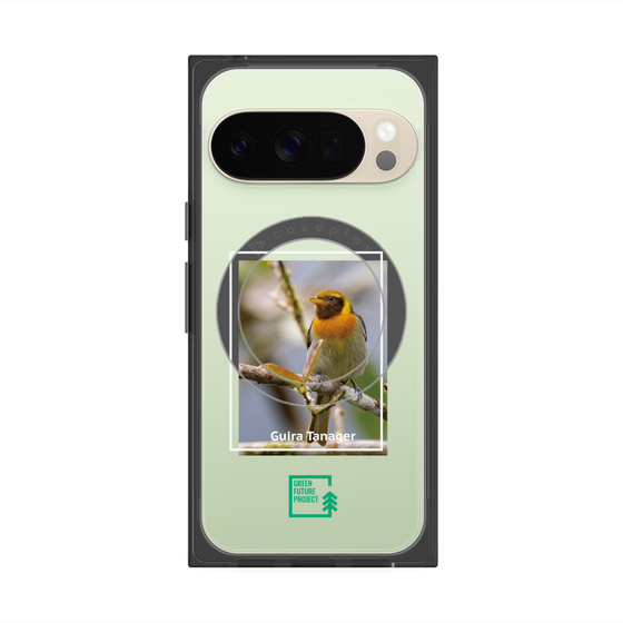 Premium Square Case with Pixelsnap［ Green Future Project - Guira Tanager ］
