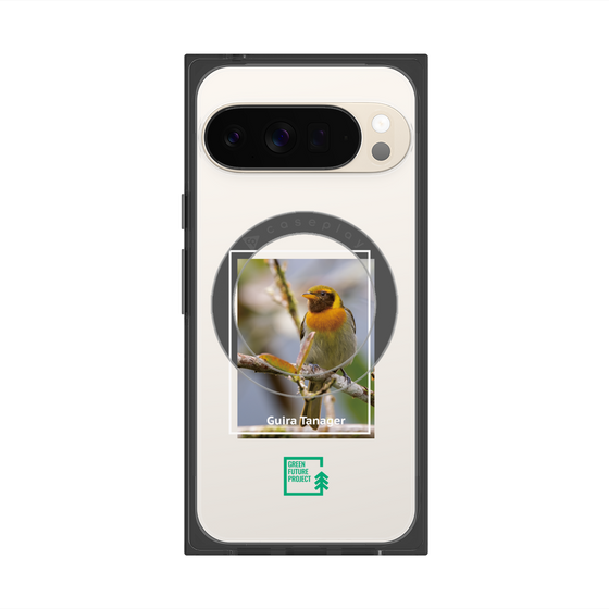 Premium Square Case with Pixelsnap［ Green Future Project - Guira Tanager ］