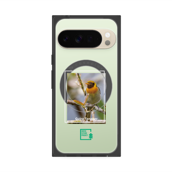 Premium Square Case with Pixelsnap［ Green Future Project - Guira Tanager ］