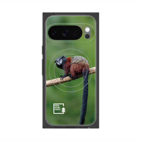 Premium Square Case with Pixelsnap［ Green Future Project - Saddle-backTamarin ］