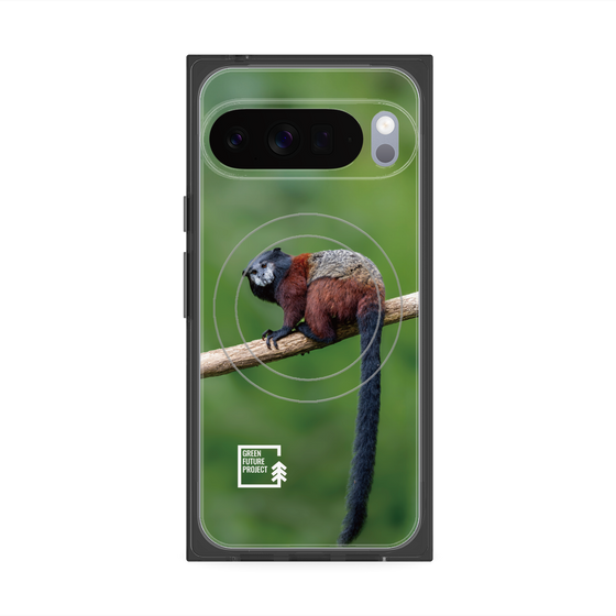 Premium Square Case with Pixelsnap［ Green Future Project - Saddle-backTamarin ］