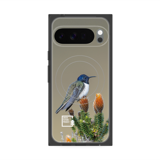 Premium Square Case with Pixelsnap［ Green Future Project - Ecuadorian Hillstar ］