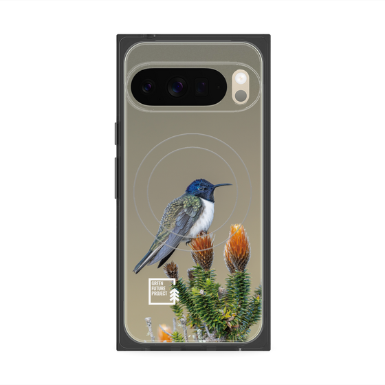 Premium Square Case with Pixelsnap［ Green Future Project - Ecuadorian Hillstar ］