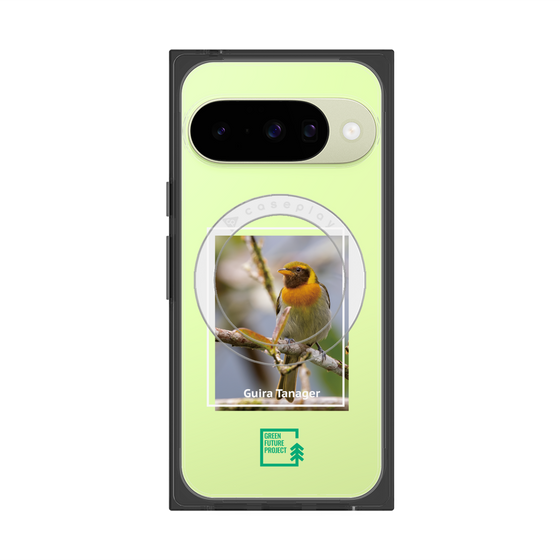 Premium Square Case with Pixelsnap［ Green Future Project - Guira Tanager ］