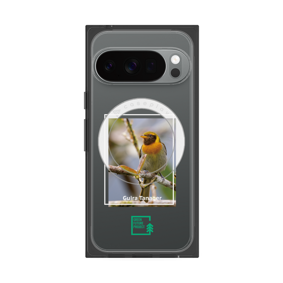 Premium Square Case with Pixelsnap［ Green Future Project - Guira Tanager ］