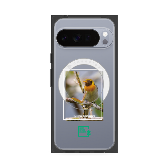 Premium Square Case with Pixelsnap［ Green Future Project - Guira Tanager ］