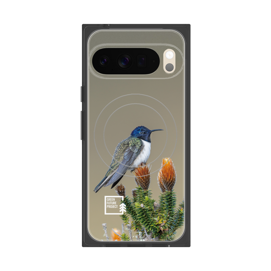 Premium Square Case with Pixelsnap［ Green Future Project - Ecuadorian Hillstar ］