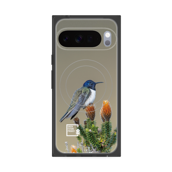 Premium Square Case with Pixelsnap［ Green Future Project - Ecuadorian Hillstar ］