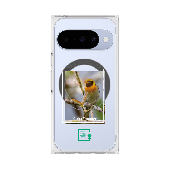 Premium Square Case with Pixelsnap［ Green Future Project - Guira Tanager ］