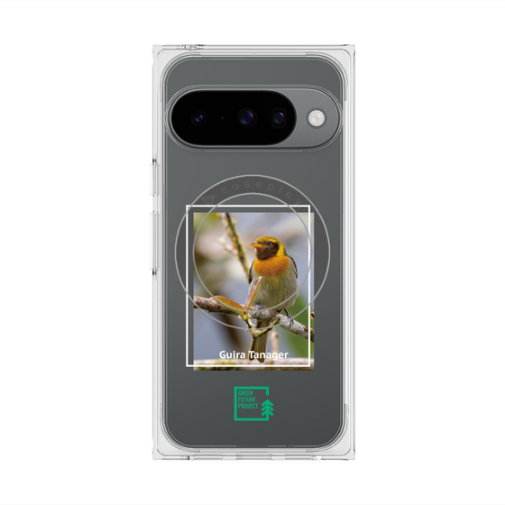 Premium Square Case with Pixelsnap［ Green Future Project - Guira Tanager ］