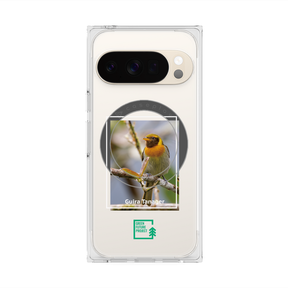 Premium Square Case with Pixelsnap［ Green Future Project - Guira Tanager ］