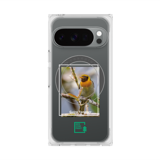 Premium Square Case with Pixelsnap［ Green Future Project - Guira Tanager ］