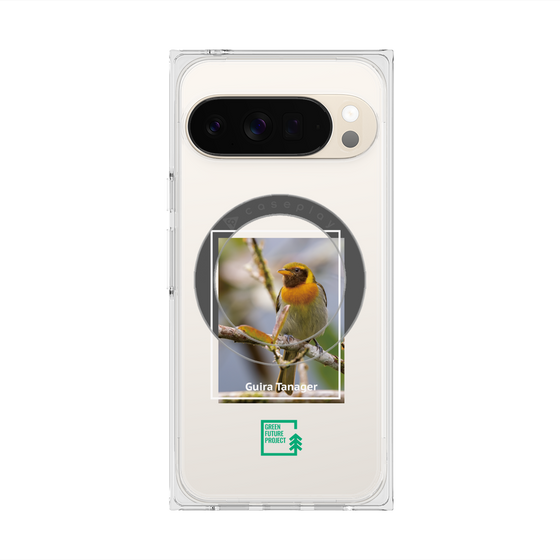 Premium Square Case with Pixelsnap［ Green Future Project - Guira Tanager ］