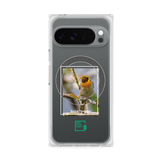 Premium Square Case with Pixelsnap［ Green Future Project - Guira Tanager ］