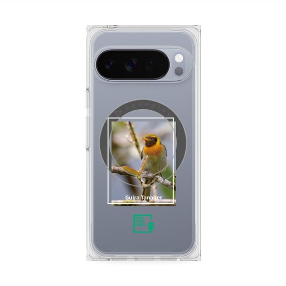Premium Square Case with Pixelsnap［ Green Future Project - Guira Tanager ］