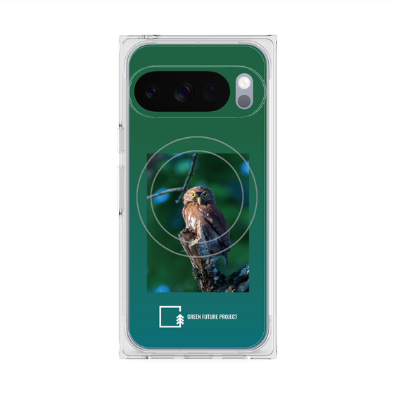 Premium Square Case with Pixelsnap［ Green Future Project - Ferruginous Pygmy Owl ］