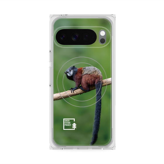 Premium Square Case with Pixelsnap［ Green Future Project - Saddle-backTamarin ］