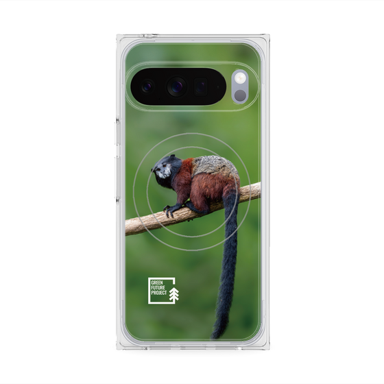 Premium Square Case with Pixelsnap［ Green Future Project - Saddle-backTamarin ］