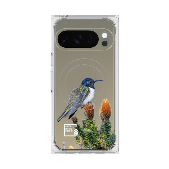 Premium Square Case with Pixelsnap［ Green Future Project - Ecuadorian Hillstar ］