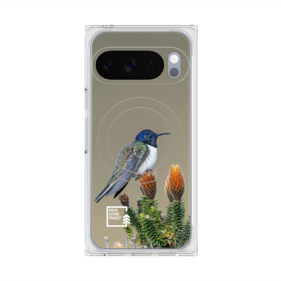 Premium Square Case with Pixelsnap［ Green Future Project - Ecuadorian Hillstar ］