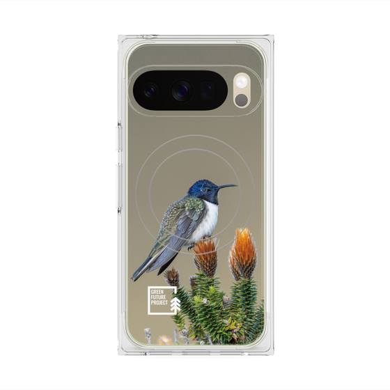 Premium Square Case with Pixelsnap［ Green Future Project - Ecuadorian Hillstar ］