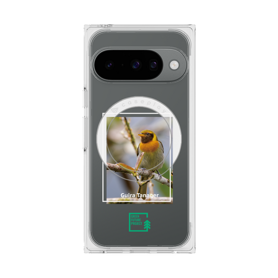 Premium Square Case with Pixelsnap［ Green Future Project - Guira Tanager ］