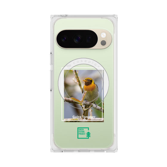 Premium Square Case with Pixelsnap［ Green Future Project - Guira Tanager ］