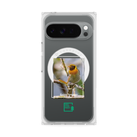 Premium Square Case with Pixelsnap［ Green Future Project - Guira Tanager ］