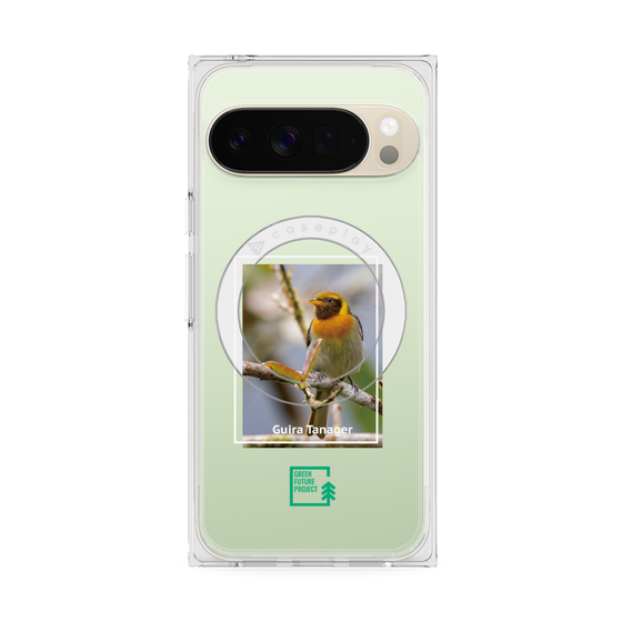 Premium Square Case with Pixelsnap［ Green Future Project - Guira Tanager ］