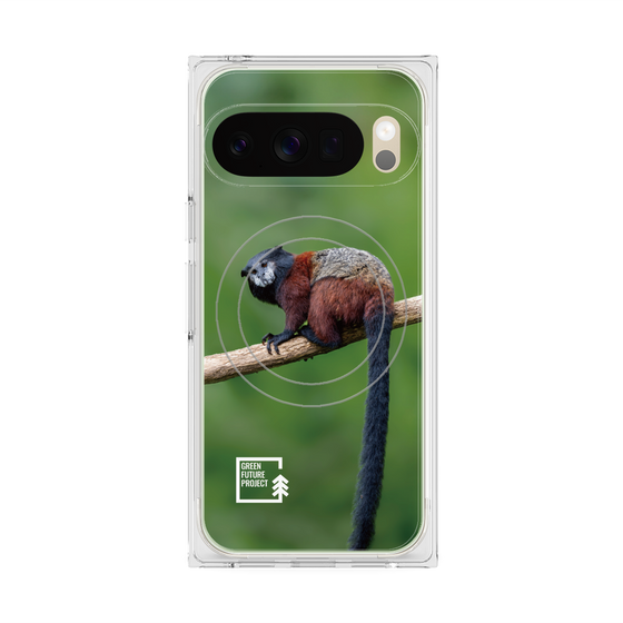 Premium Square Case with Pixelsnap［ Green Future Project - Saddle-backTamarin ］