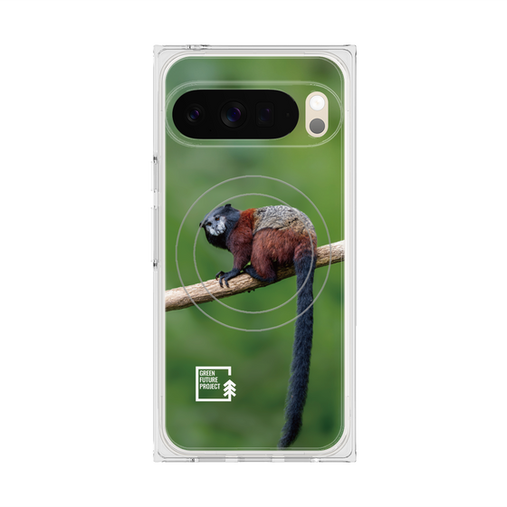 Premium Square Case with Pixelsnap［ Green Future Project - Saddle-backTamarin ］