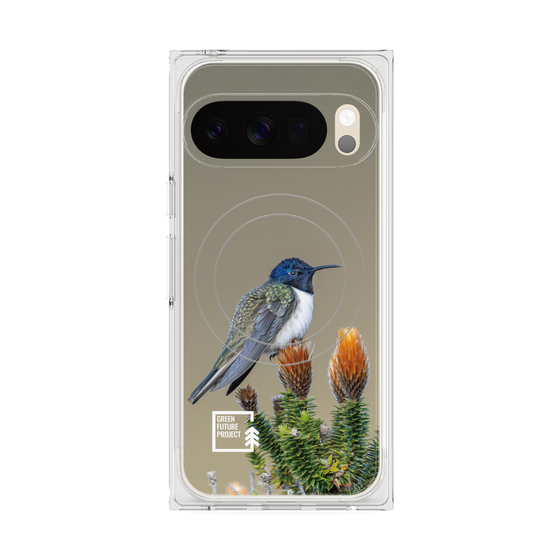 Premium Square Case with Pixelsnap［ Green Future Project - Ecuadorian Hillstar ］