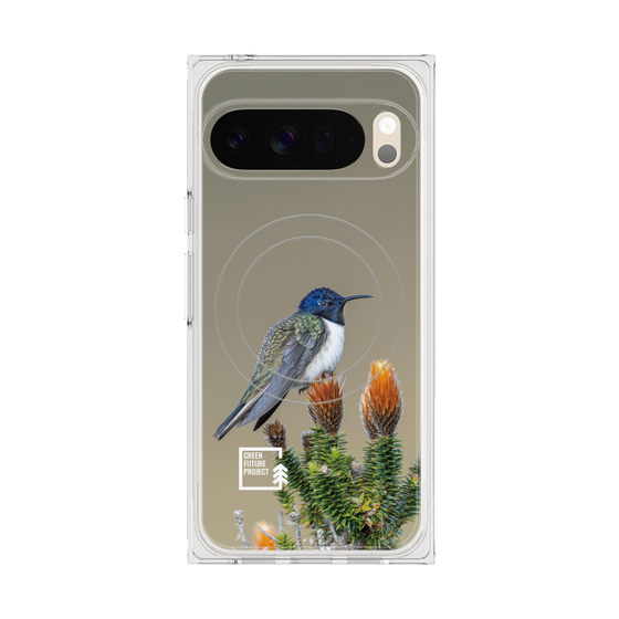 Premium Square Case with Pixelsnap［ Green Future Project - Ecuadorian Hillstar ］