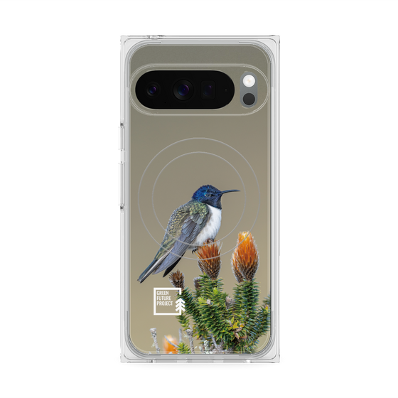 Premium Square Case with Pixelsnap［ Green Future Project - Ecuadorian Hillstar ］