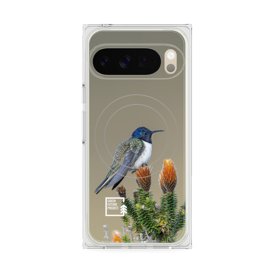 Premium Square Case with Pixelsnap［ Green Future Project - Ecuadorian Hillstar ］