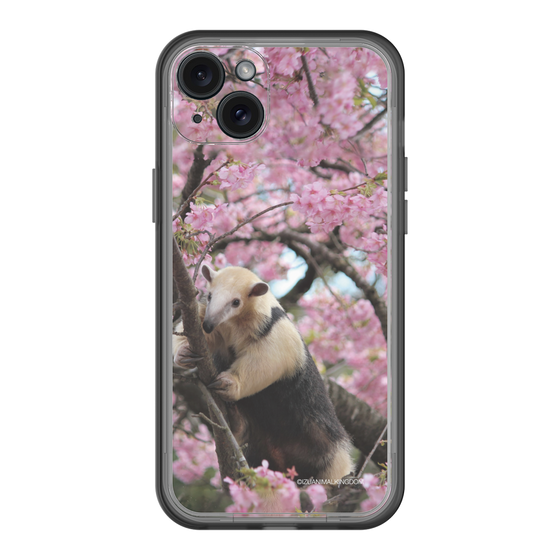 Slim Protection Premium Case［ The Izu Animal Kingdom - Anteater ］