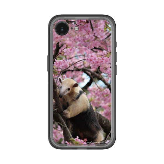 Slim Protection Premium Case［ The Izu Animal Kingdom - Anteater ］