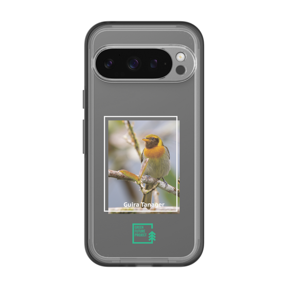Slim Protection Premium Case［ Green Future Project - Guira Tanager ］