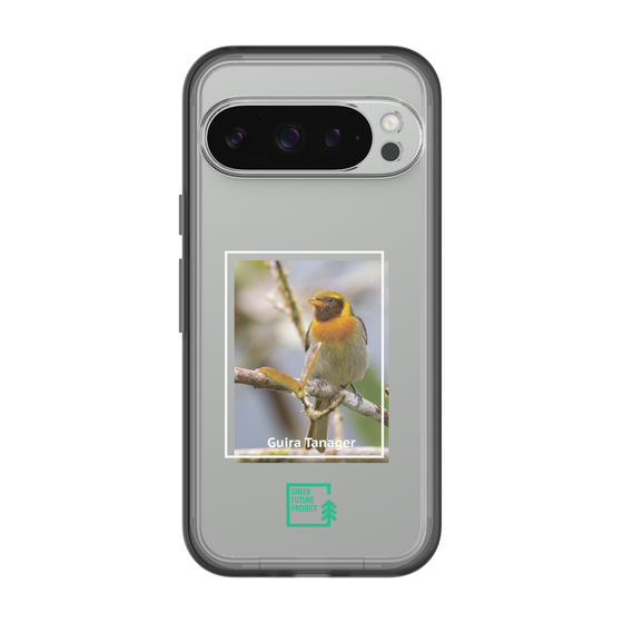 Slim Protection Premium Case［ Green Future Project - Guira Tanager ］