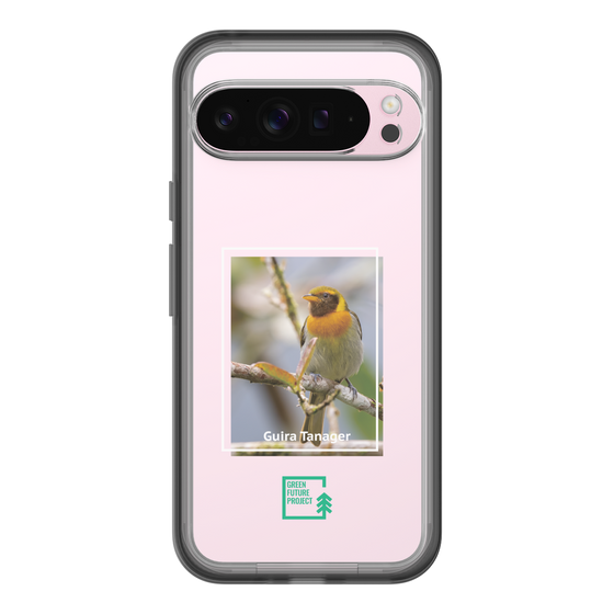 Slim Protection Premium Case［ Green Future Project - Guira Tanager ］