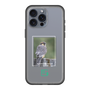 Slim Protection Premium Case［ Green Future Project - Aplomado Falcon ］