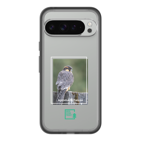 Slim Protection Premium Case［ Green Future Project - Aplomado Falcon ］