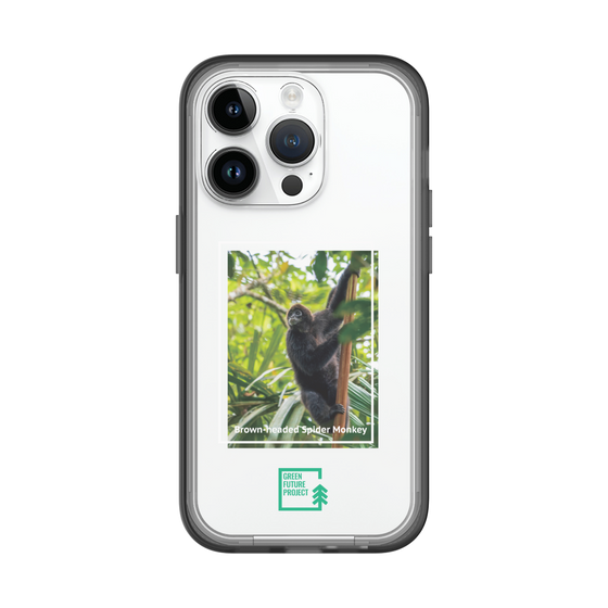 Slim Protection Premium Case［ Green Future Project - Brown-headed Spider Monkey ］